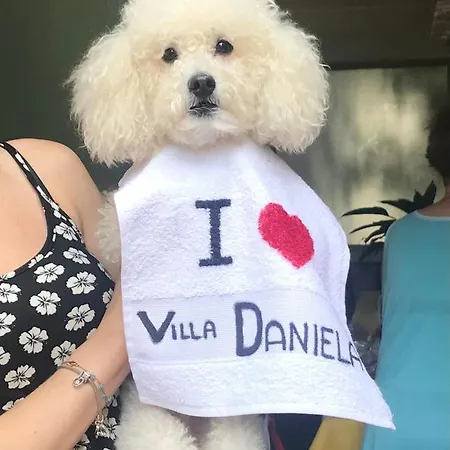 Villa Daniela-2